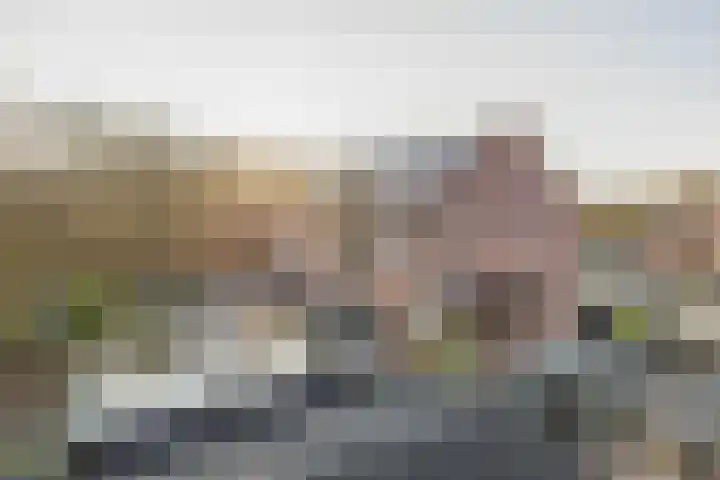 Mossel 73 Hellevoetsluis thumbnail 27