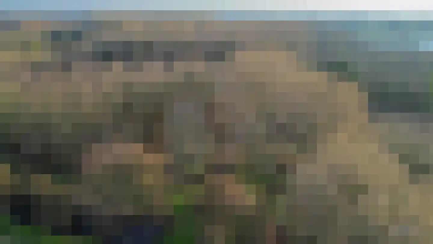 Mossel 73 Hellevoetsluis thumbnail 41