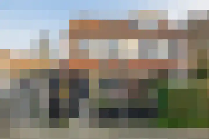 Mossel 73 Hellevoetsluis thumbnail 7