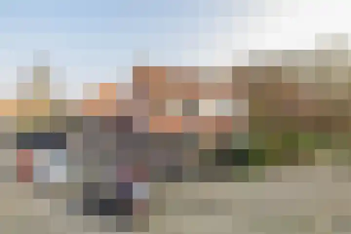 Mossel 73 Hellevoetsluis thumbnail 8