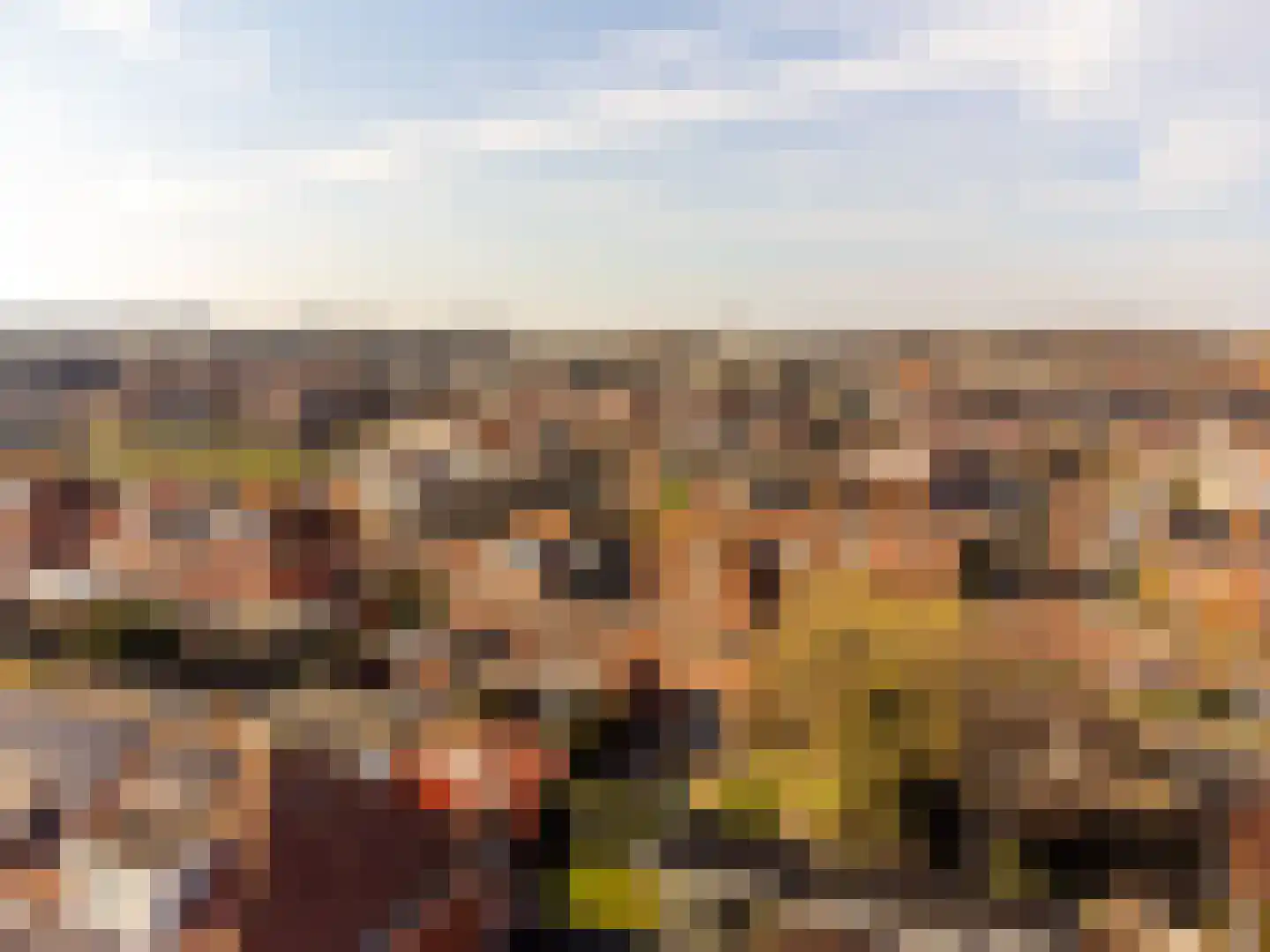 Mosselaan 88 C Egmond aan den Hoef thumbnail 32