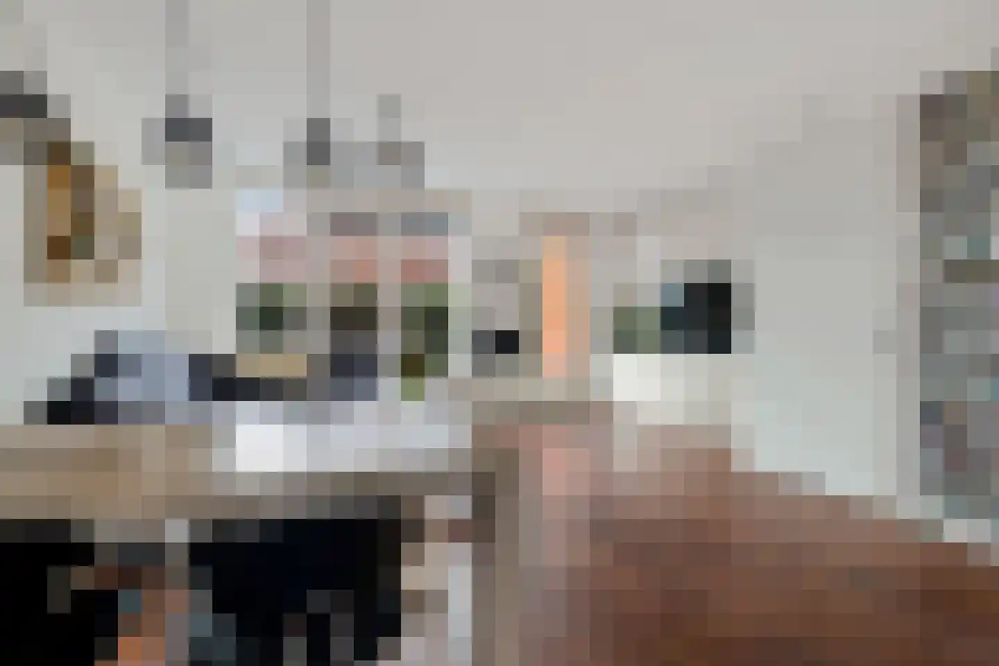 Mosselaan 88 C Egmond aan den Hoef thumbnail 5