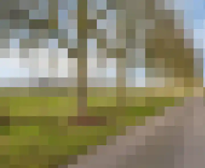 Mosselaarweg 2 Best thumbnail 12