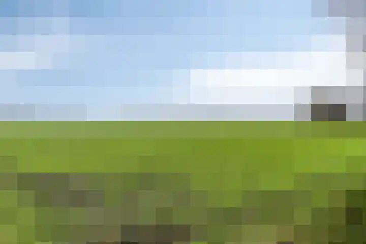 Mosselaarweg 2 Best thumbnail 13