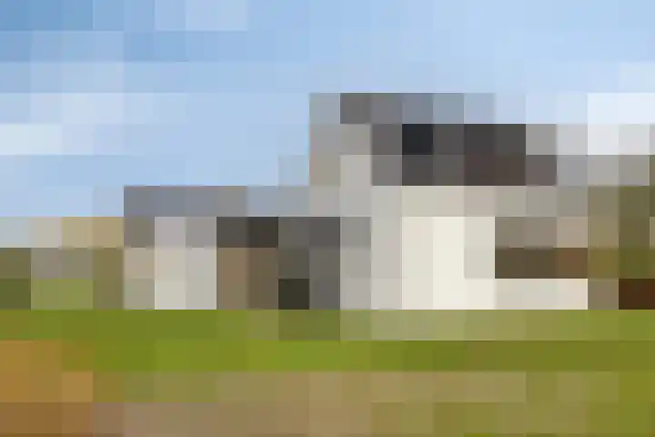 Mosselaarweg 2 Best thumbnail 4