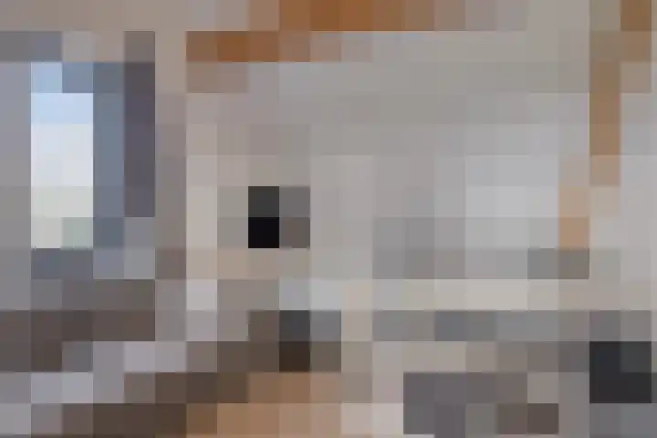 Mosselaarweg 2 Best thumbnail 51