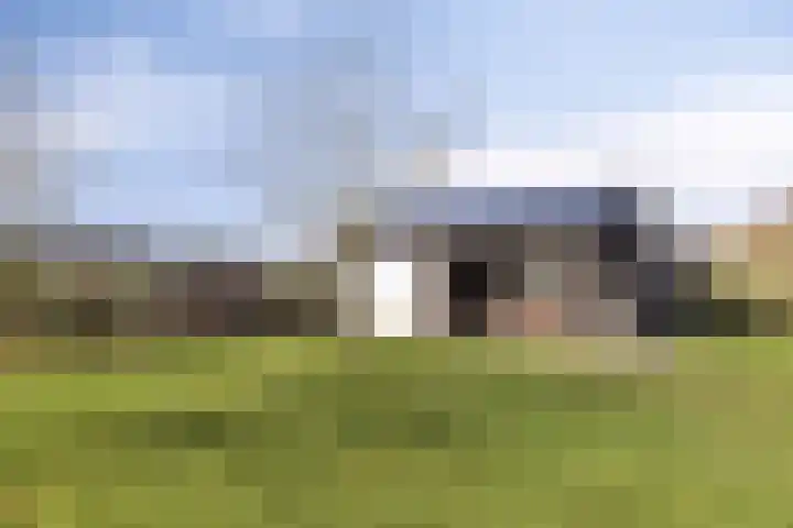 Mosselaarweg 2 Best thumbnail 61