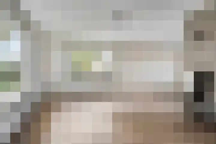 Mosselaarweg 9 Best thumbnail 10