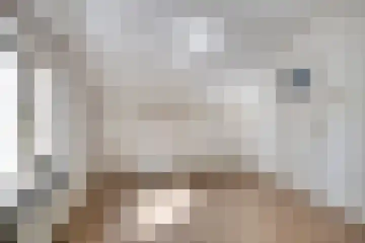 Mosselaarweg 9 Best thumbnail 31