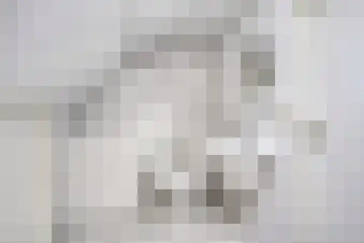 Mosselaarweg 9 Best thumbnail 33