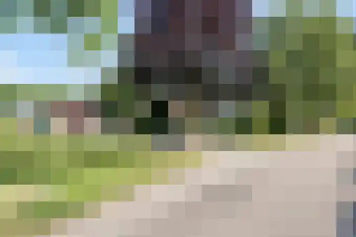 Mosselaarweg 9 Best thumbnail 36