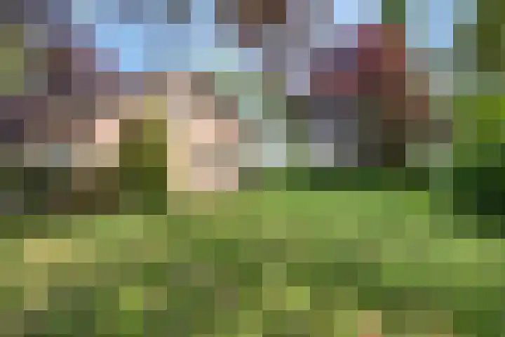 Mosselaarweg 9 Best thumbnail 39