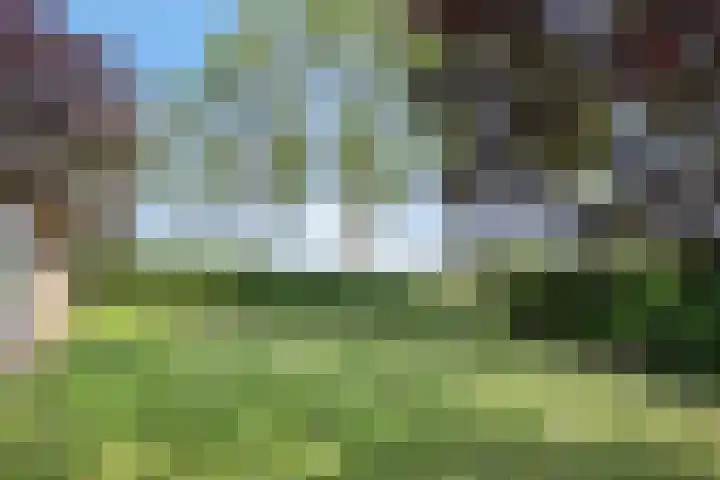 Mosselaarweg 9 Best thumbnail 40