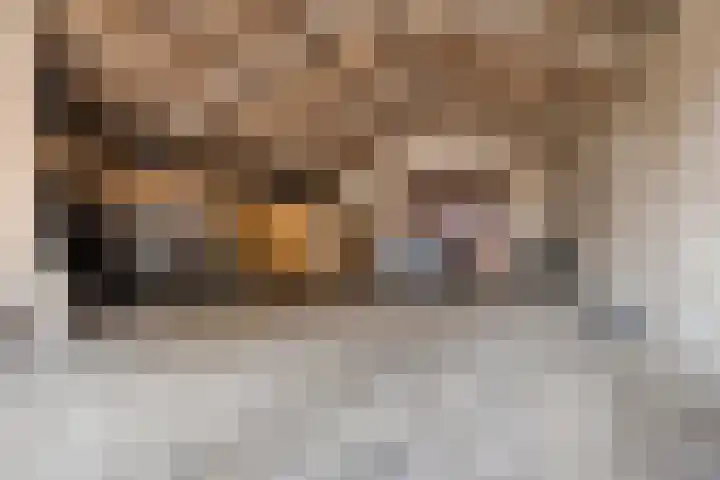 Mosselaarweg 9 Best thumbnail 45