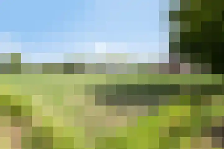 Mosselaarweg 9 Best thumbnail 48