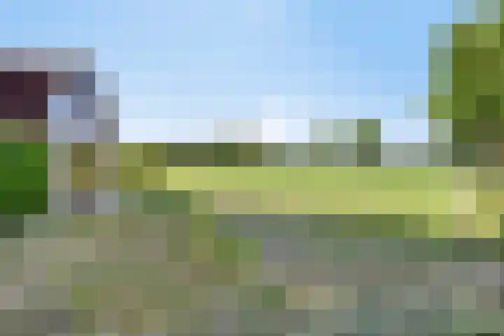 Mosselaarweg 9 Best thumbnail 49