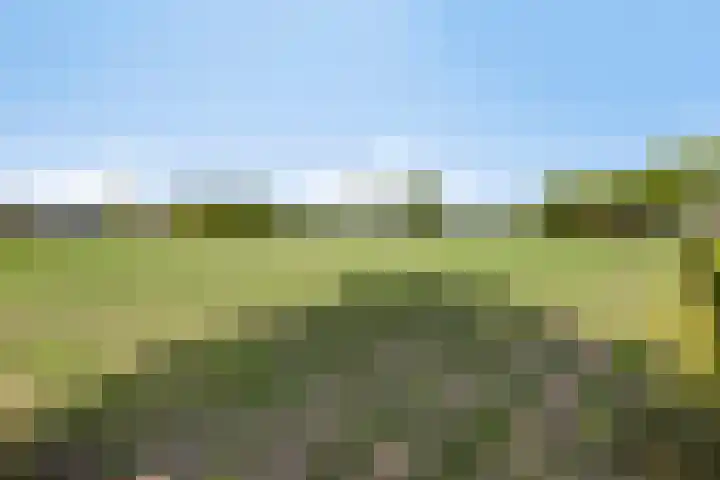 Mosselaarweg 9 Best thumbnail 50