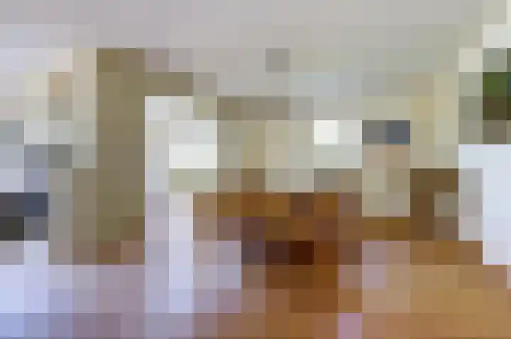 Mosselbank 11 Goes thumbnail 13