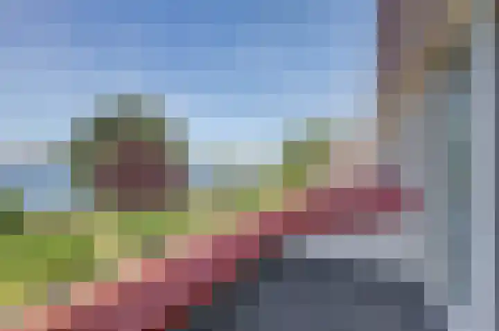 Mosselbank 11 Goes thumbnail 26