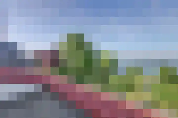Mosselbank 11 Goes thumbnail 27