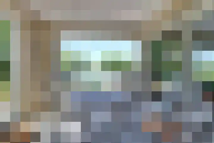 Mosselbank 11 Goes thumbnail 39