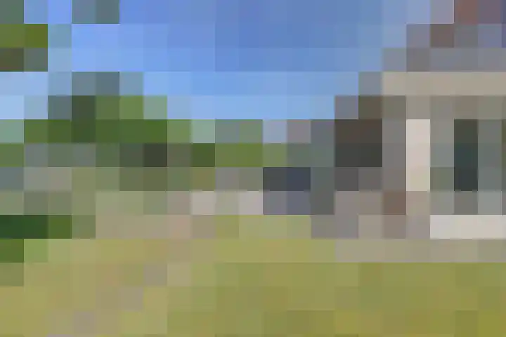 Mosselbank 11 Goes thumbnail 41