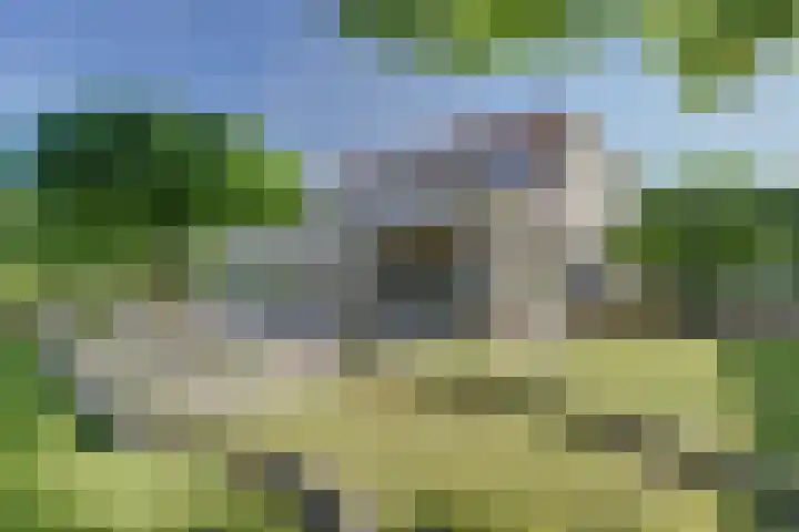 Mosselbank 11 Goes thumbnail 43