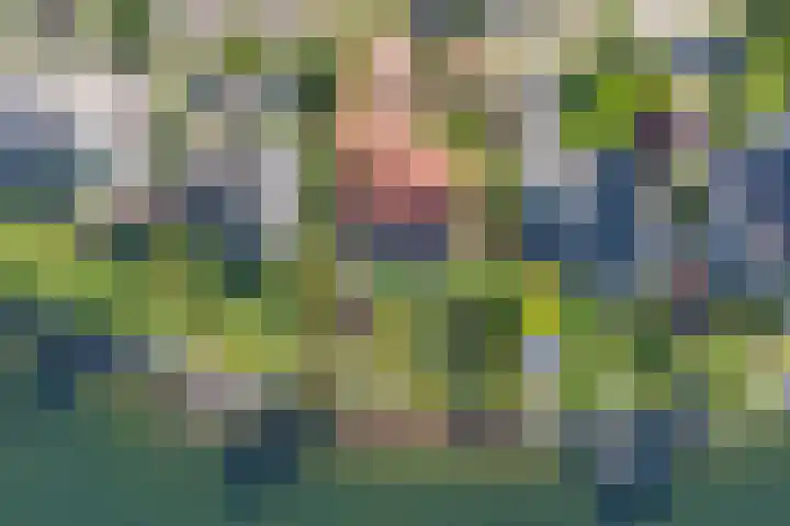 Mosselbank 11 Goes thumbnail 54
