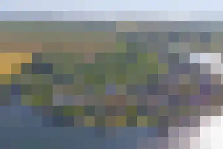 Mosselbank 11 Goes thumbnail 55