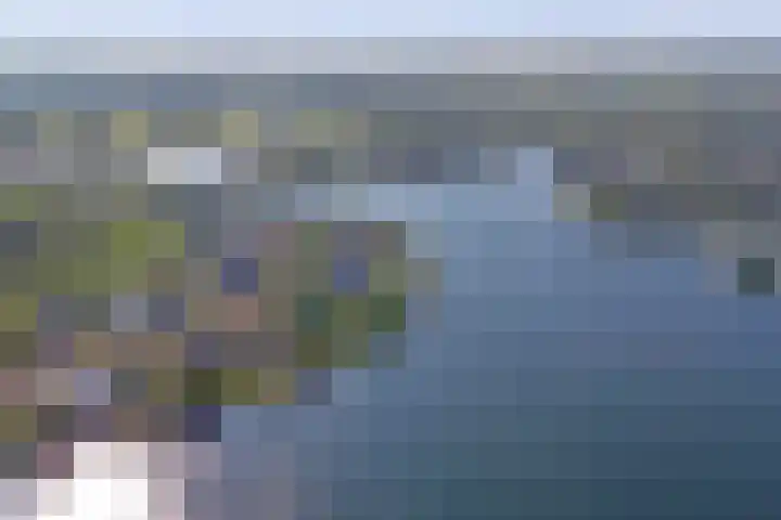 Mosselbank 11 Goes thumbnail 56