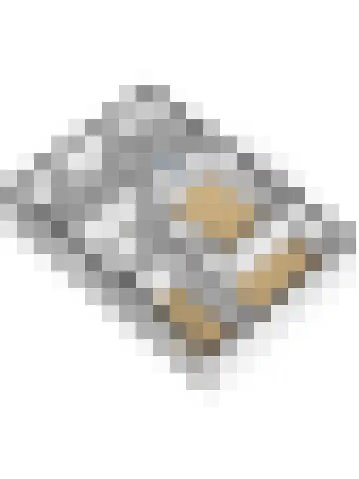 Mosselbank 11 Goes thumbnail 68