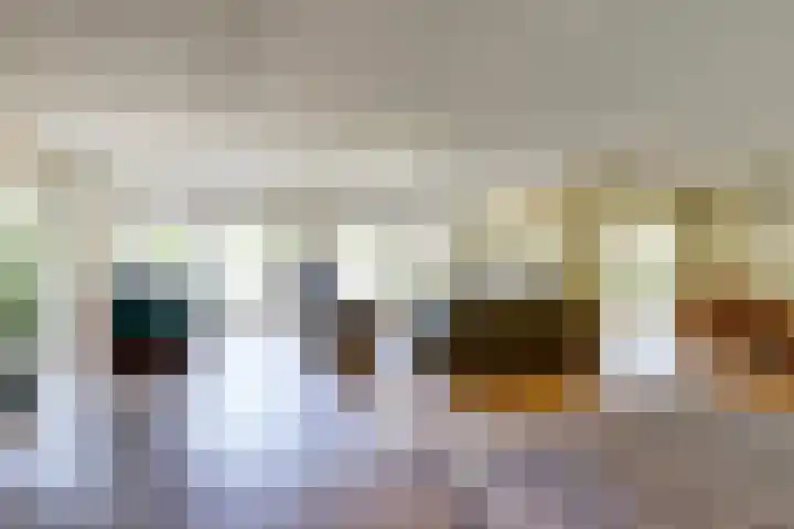 Mosselbank 11 Goes thumbnail 7
