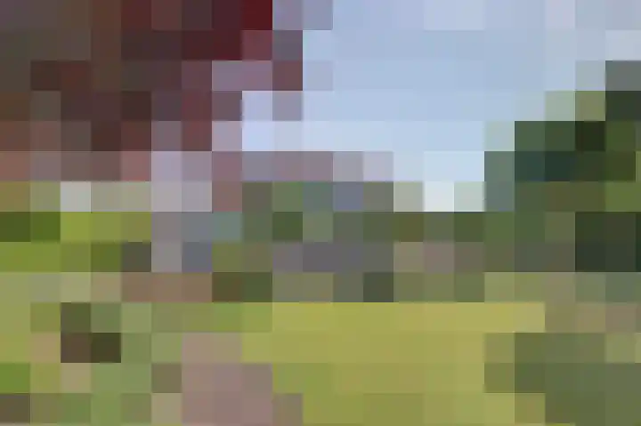 Mosselbank 11 Goes thumbnail 71
