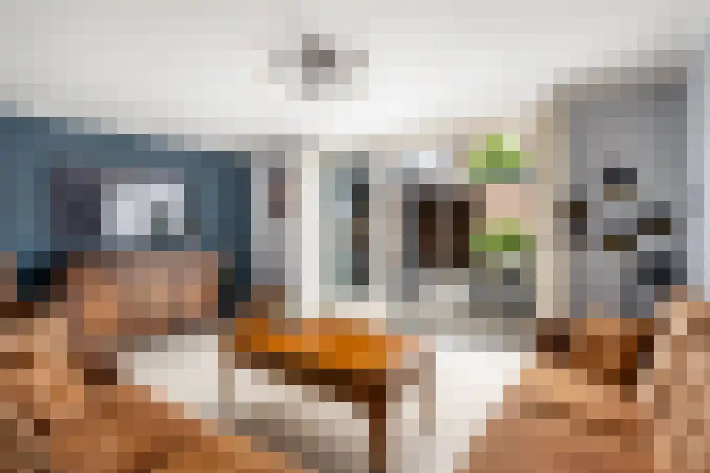 Mosselbank 14 Rhoon thumbnail 11