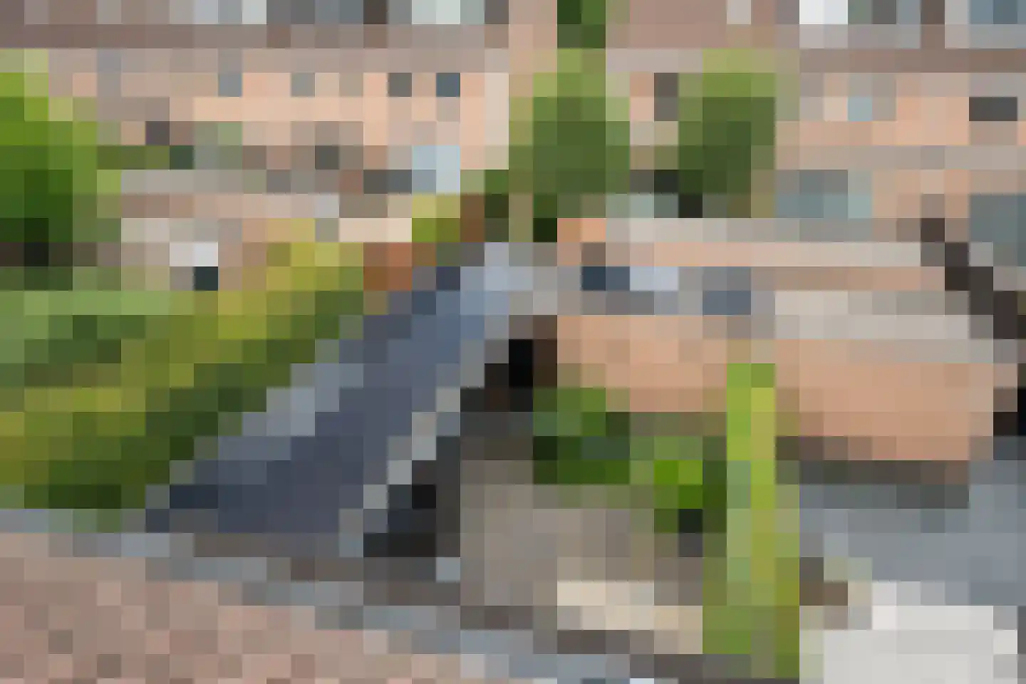 Mosselbank 14 Rhoon thumbnail 32