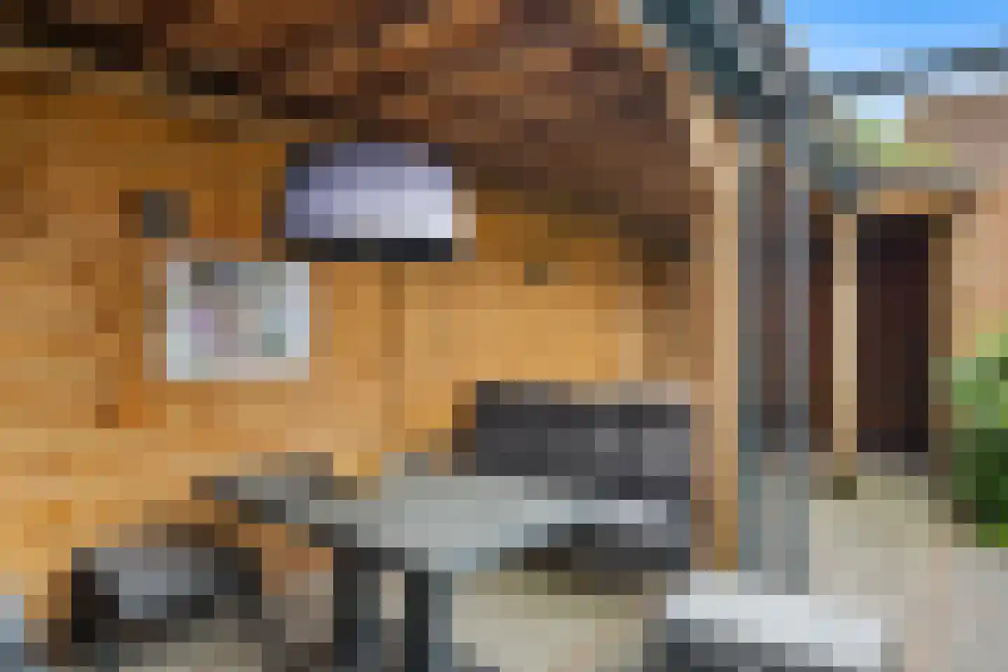 Mosselbank 14 Rhoon thumbnail 36