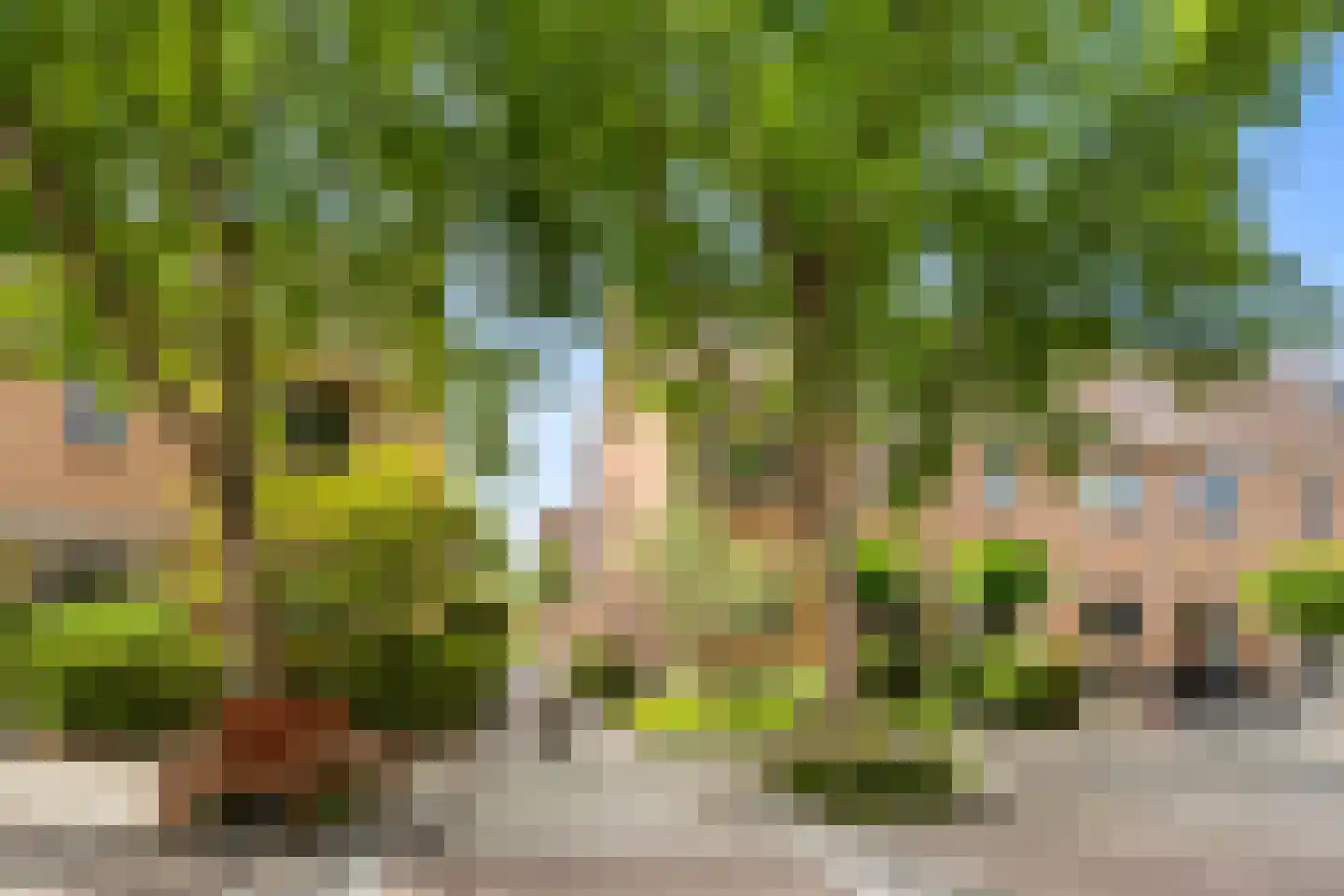 Mosselbank 14 Rhoon thumbnail 5