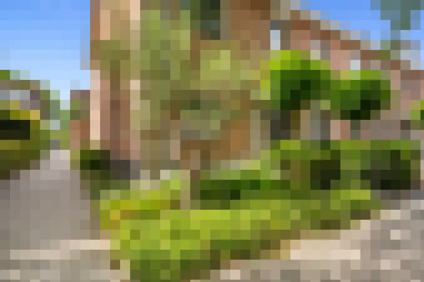 Mosselbank 14 Rhoon thumbnail 6