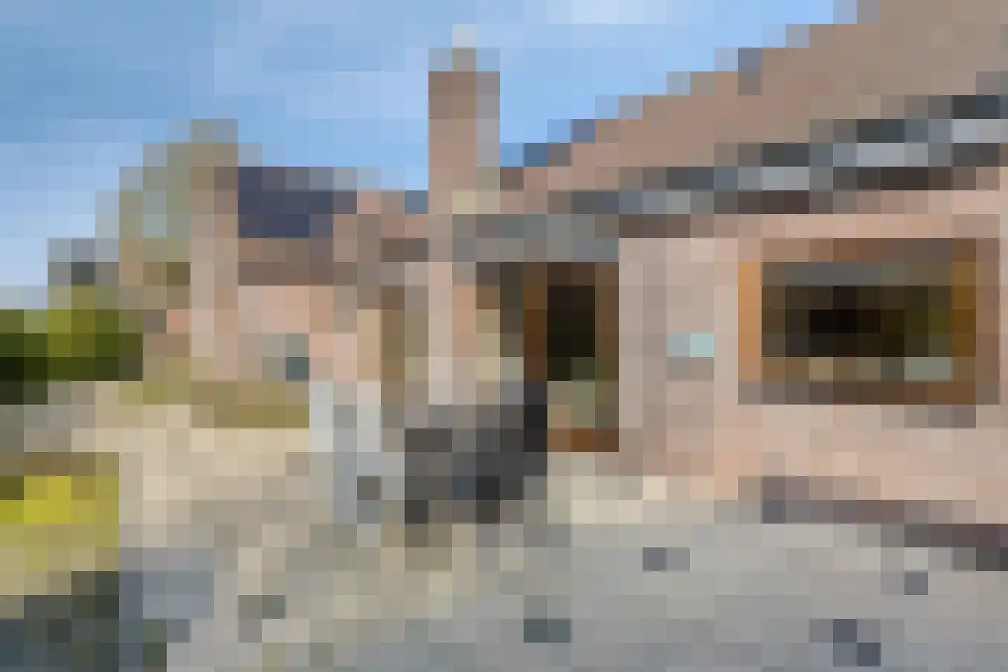 Mosselbank 16 Philippine thumbnail 37