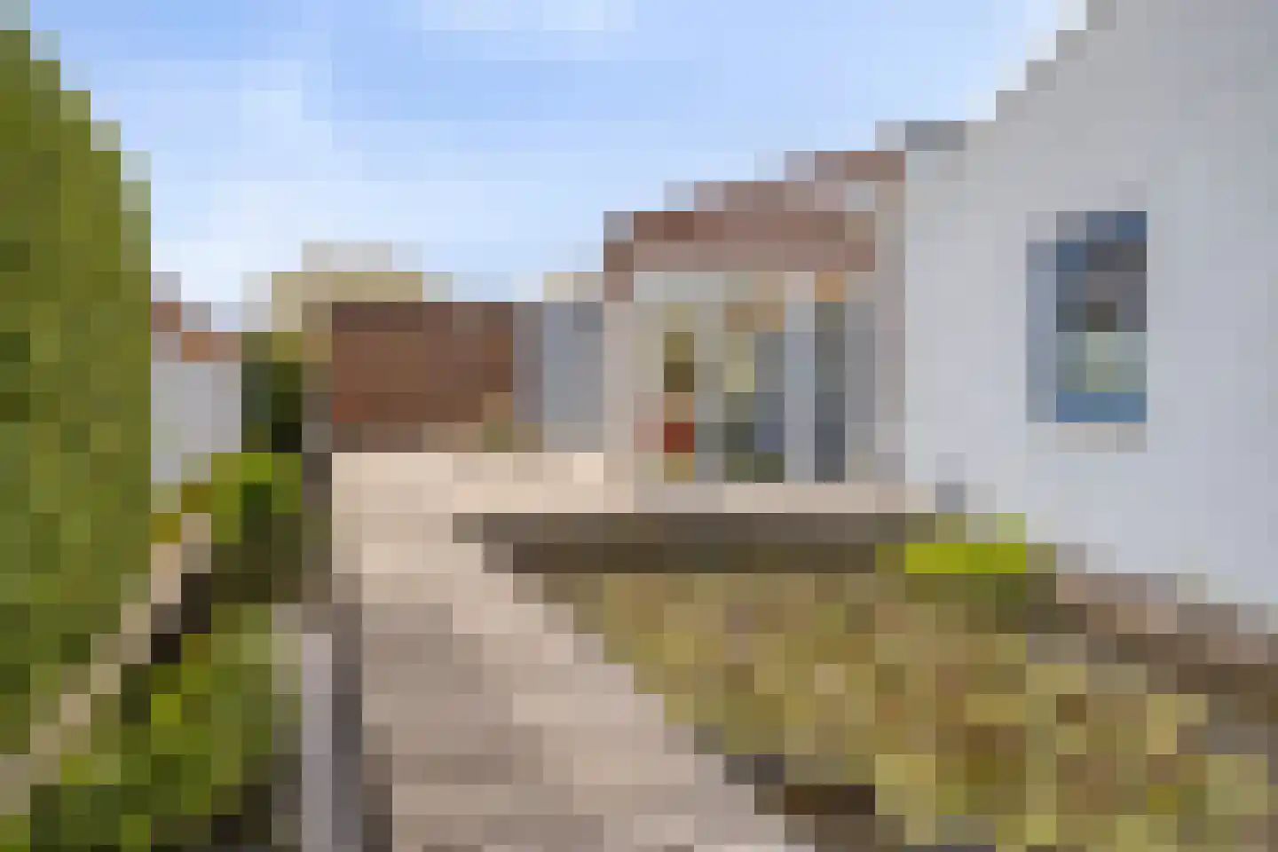 Mosselbank 17 Goes thumbnail 17