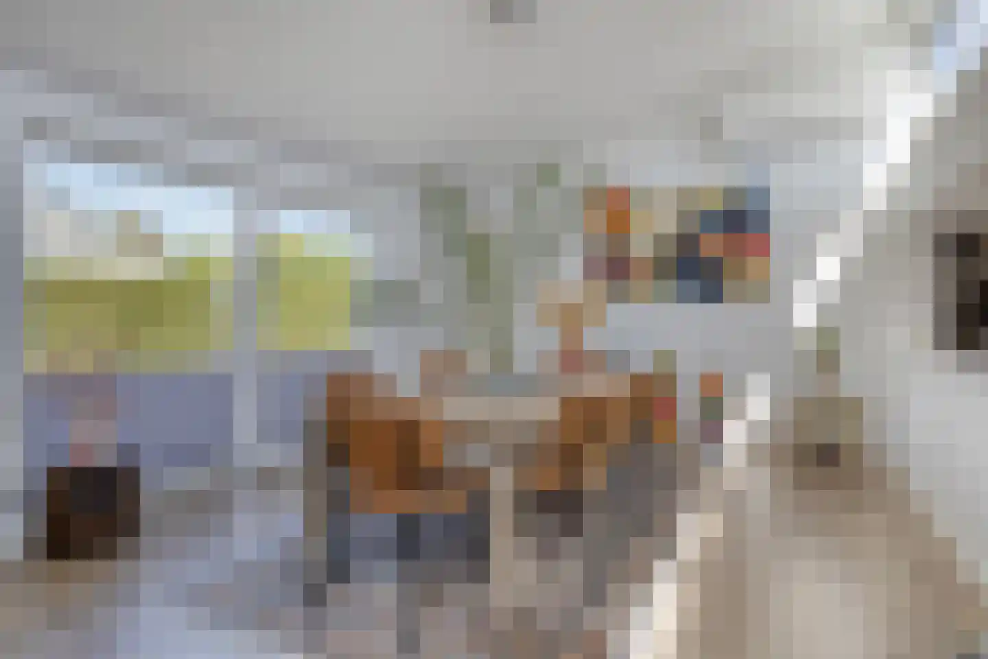 Mosselbank 17 Goes thumbnail 19