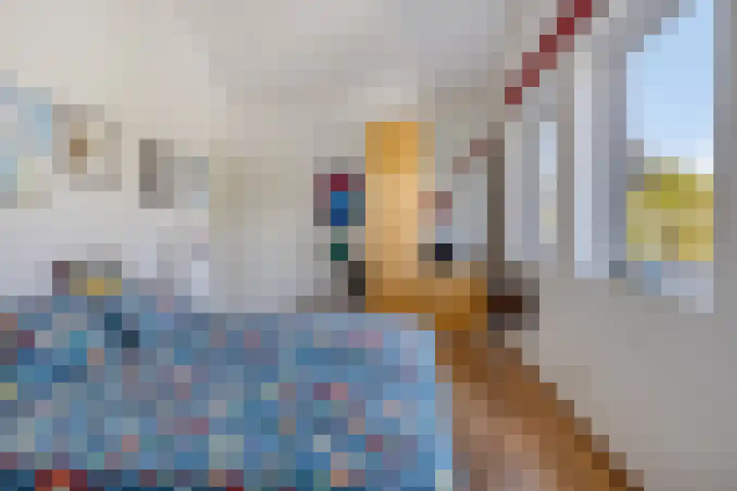 Mosselbank 17 Goes thumbnail 33