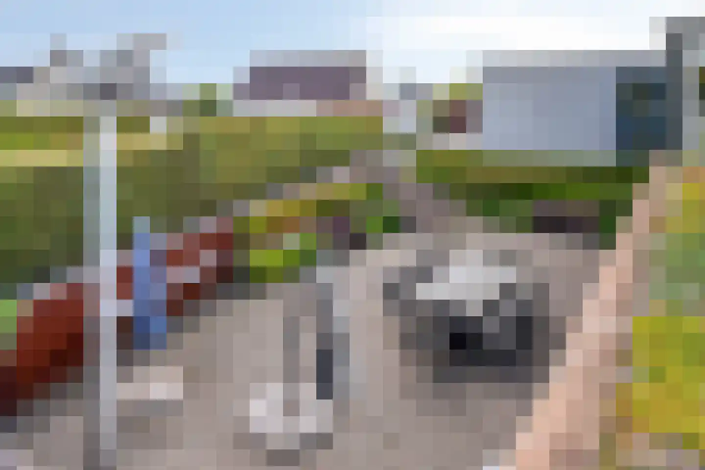 Mosselbank 17 Goes thumbnail 51