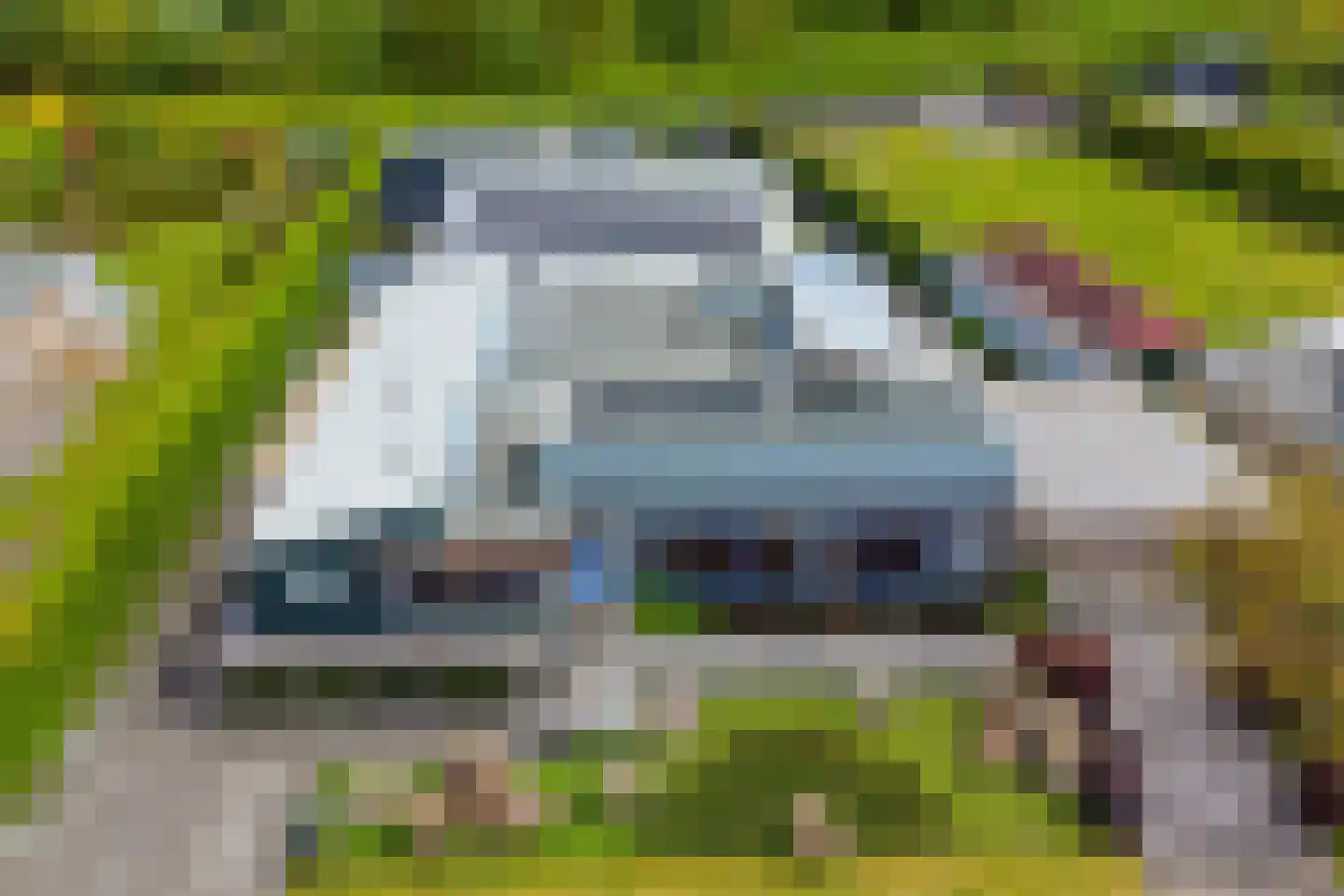 Mosselbank 17 Goes thumbnail 58