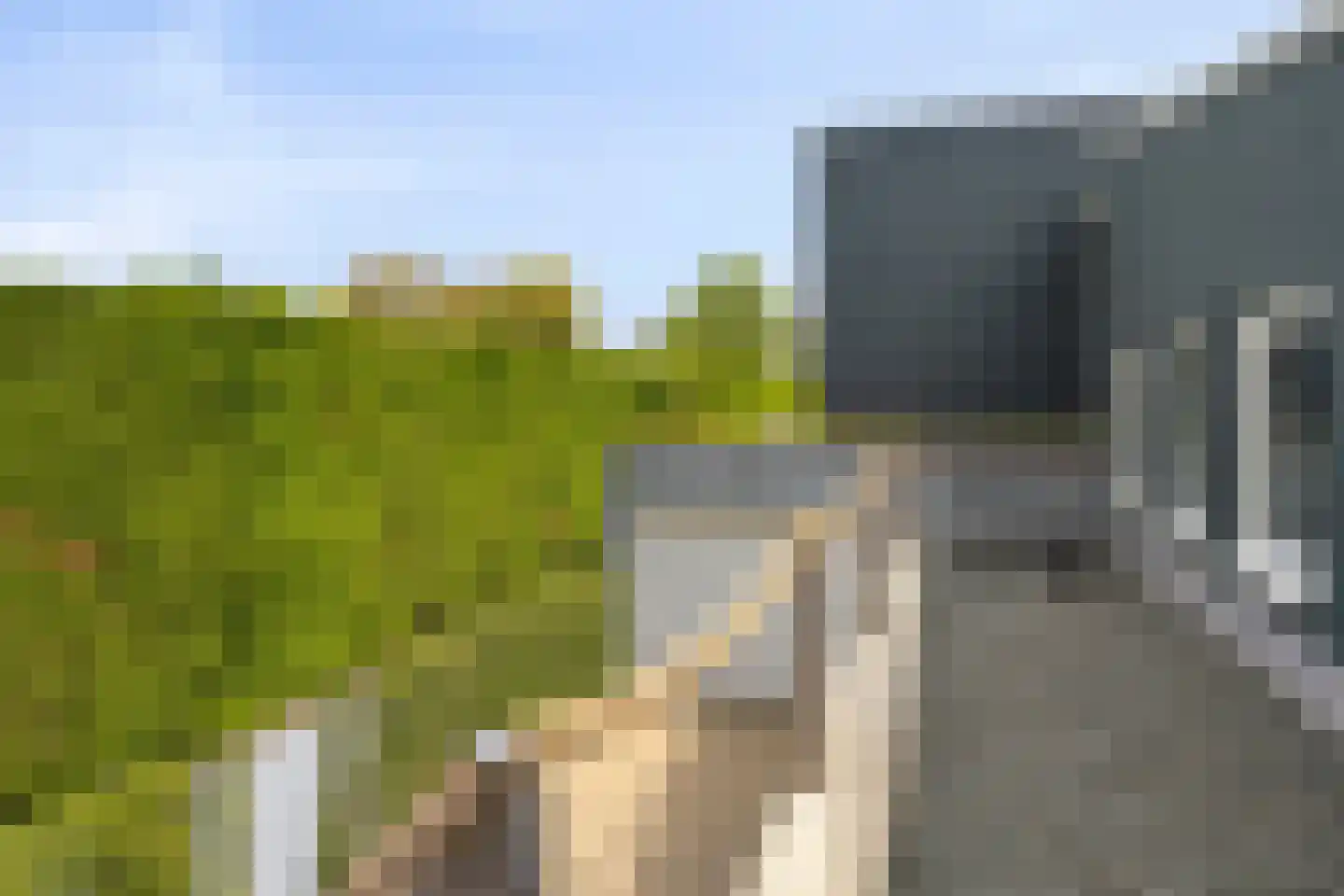 Mosselbank 17 Goes thumbnail 58