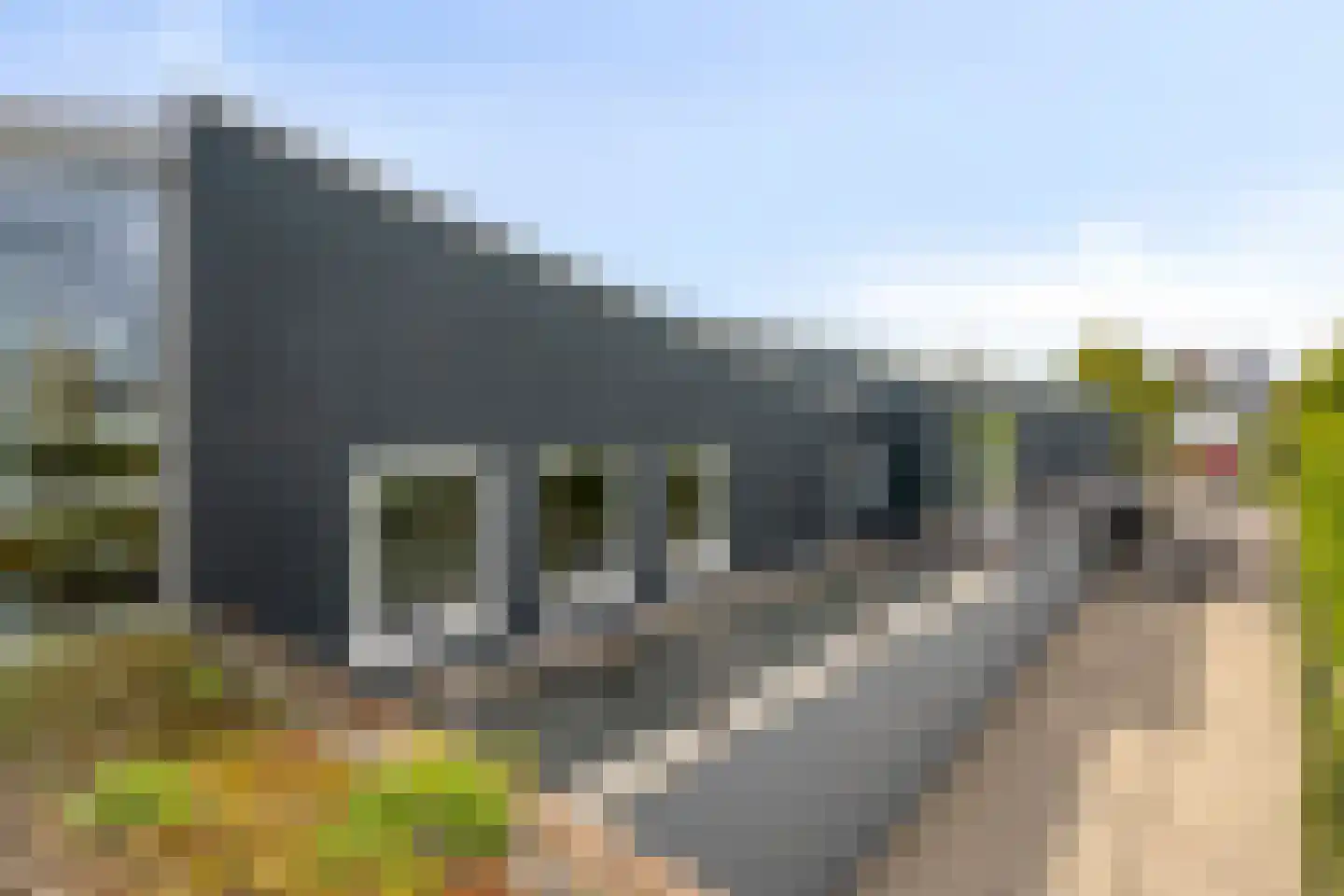 Mosselbank 17 Goes thumbnail 59