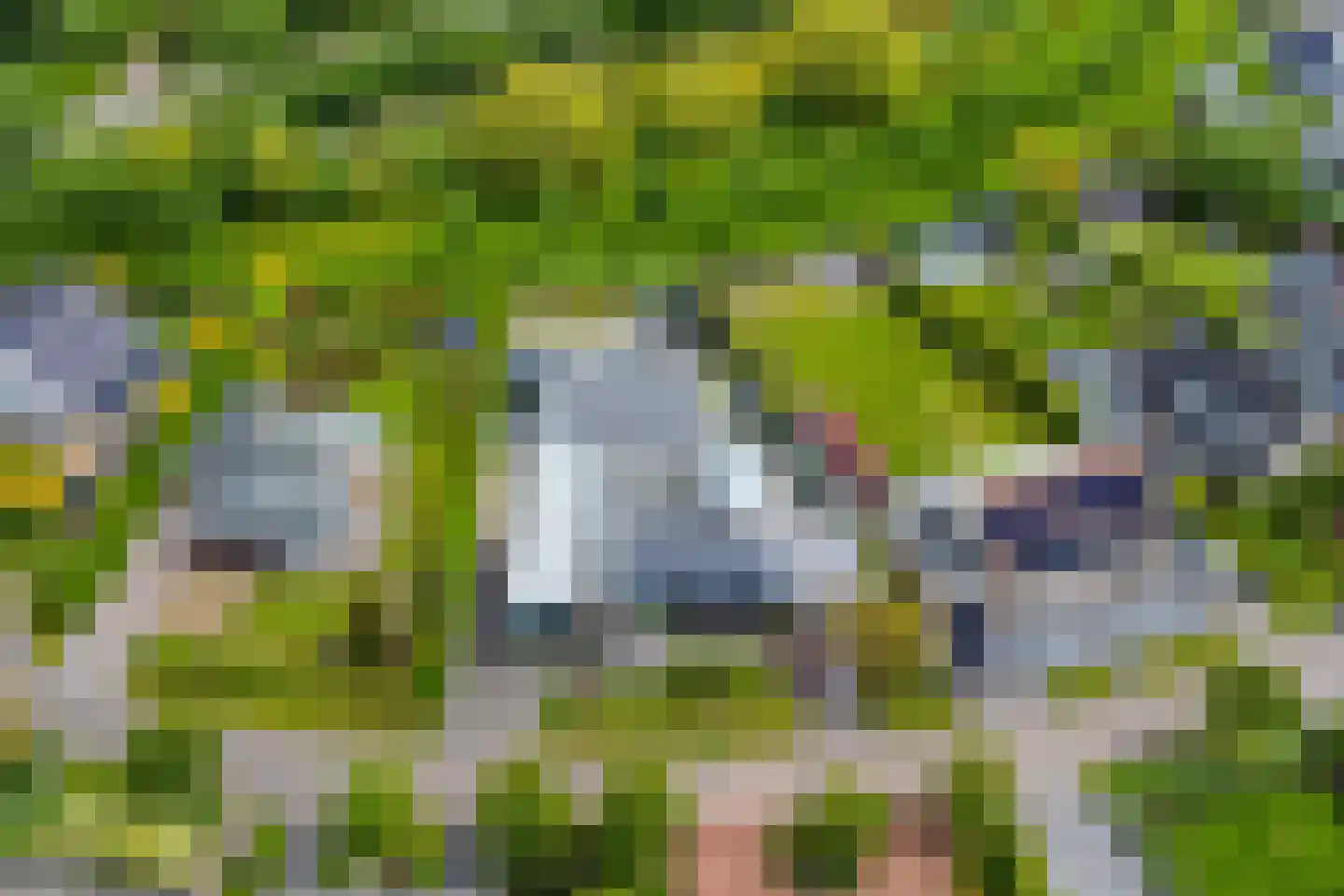 Mosselbank 17 Goes thumbnail 61
