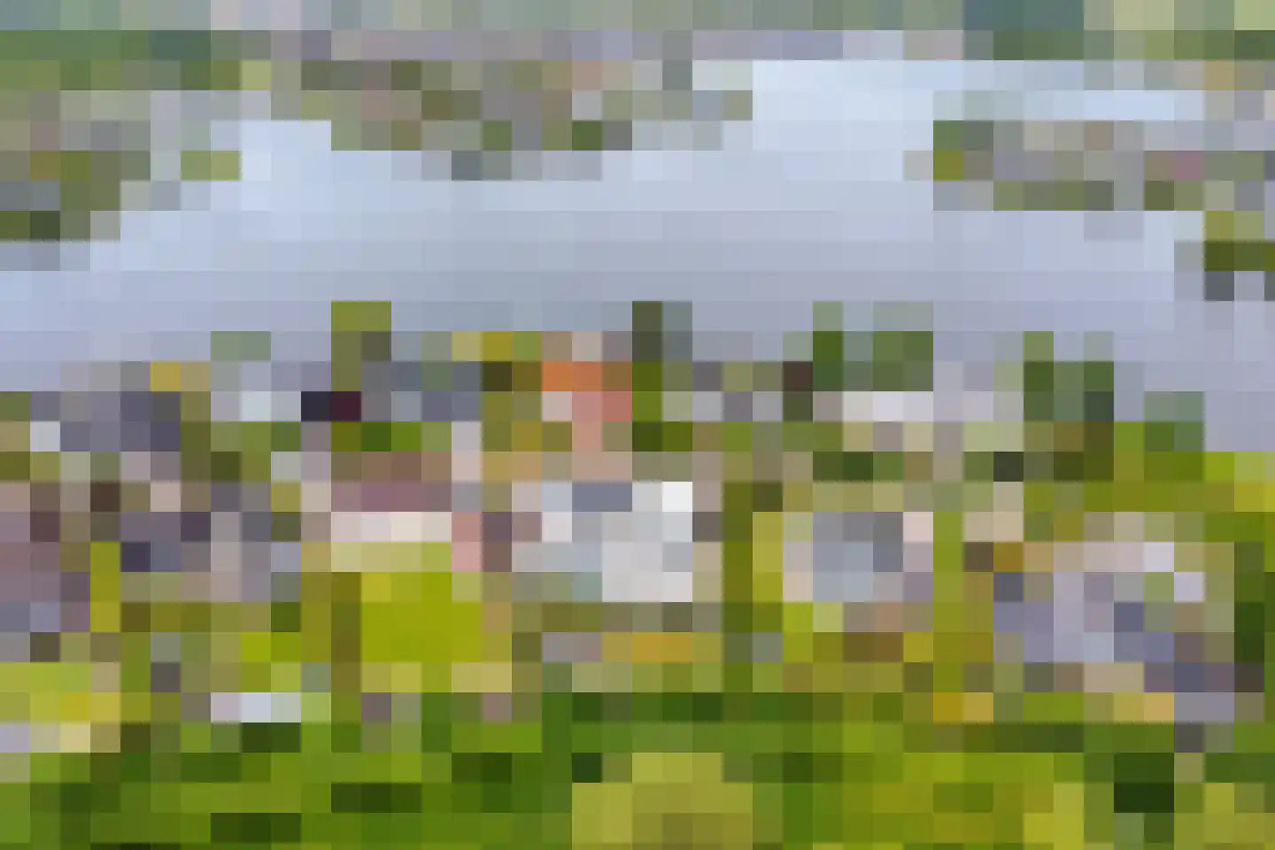 Mosselbank 17 Goes thumbnail 62