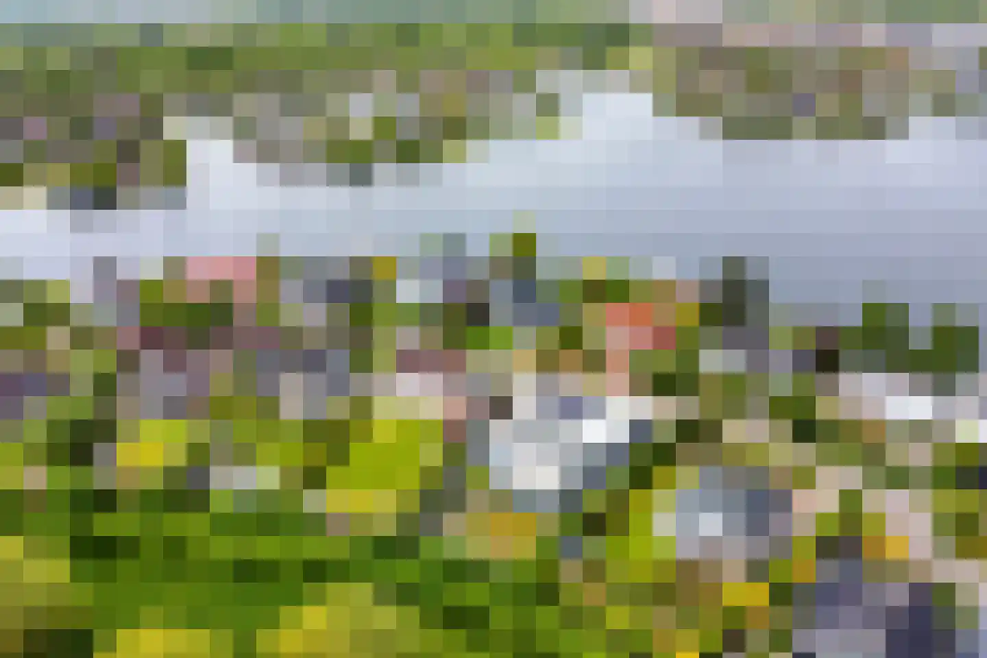 Mosselbank 17 Goes thumbnail 63