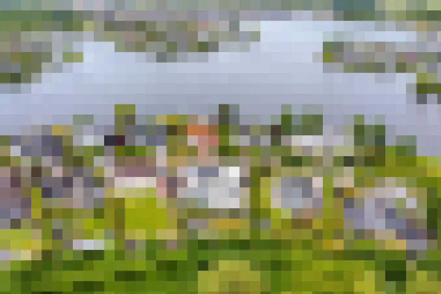Mosselbank 17 Goes thumbnail 64